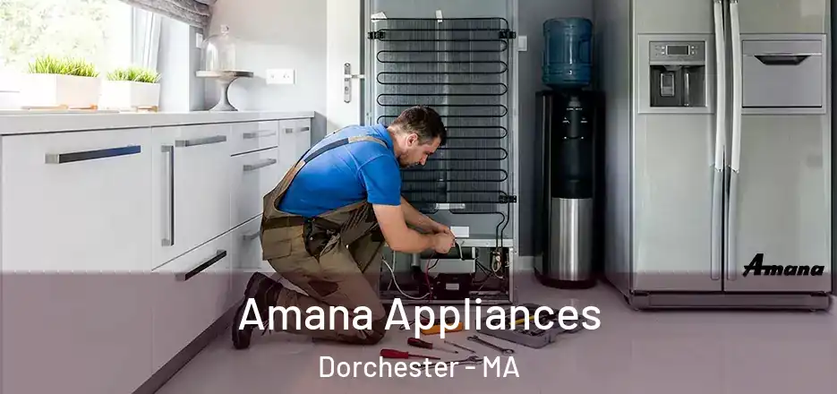  Amana Appliances Dorchester - MA