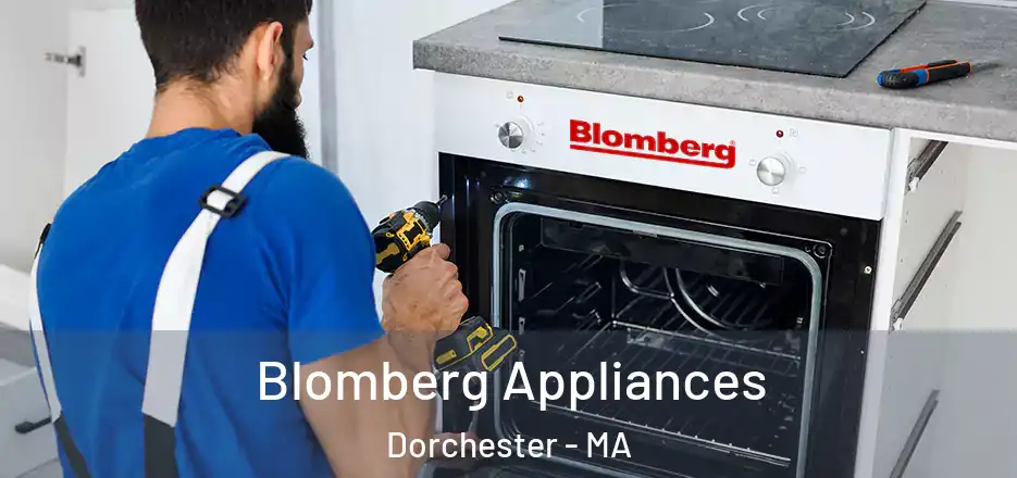  Blomberg Appliances Dorchester - MA