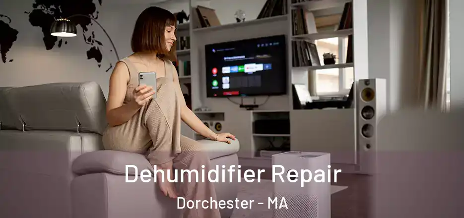  Dehumidifier Repair Dorchester - MA