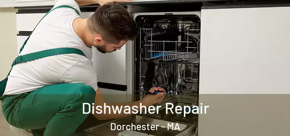  Dishwasher Repair Dorchester - MA