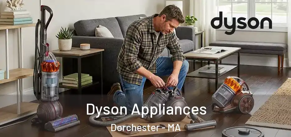  Dyson Appliances Dorchester - MA