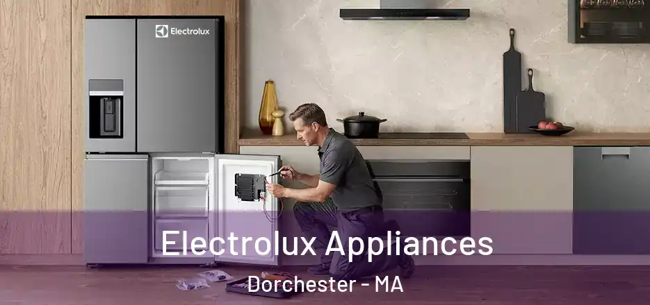  Electrolux Appliances Dorchester - MA