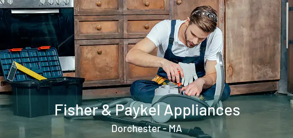  Fisher & Paykel Appliances Dorchester - MA
