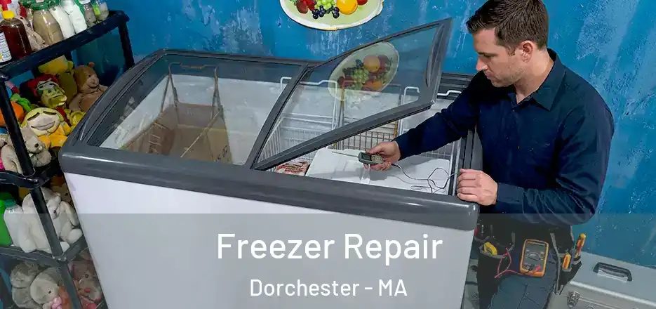  Freezer Repair Dorchester - MA