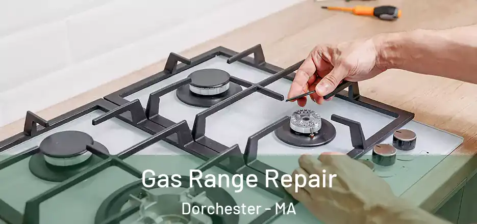  Gas Range Repair Dorchester - MA