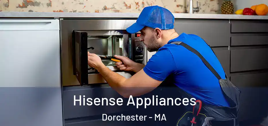  Hisense Appliances Dorchester - MA