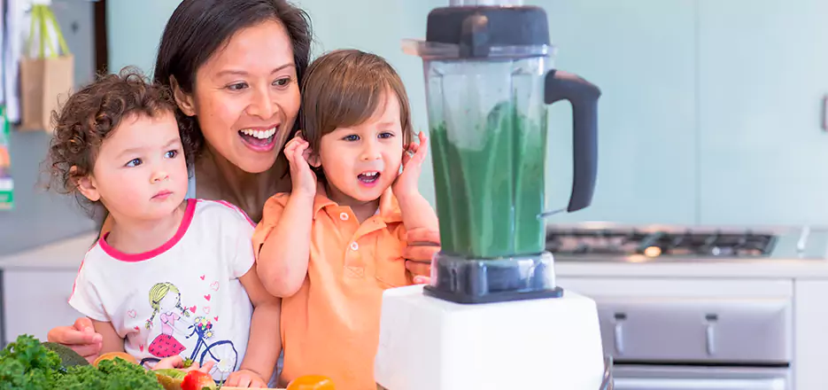 Juicer and Mixer Blender Repair in Dorchester 
