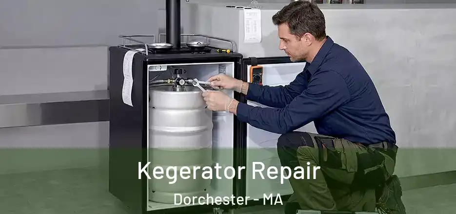  Kegerator Repair Dorchester - MA