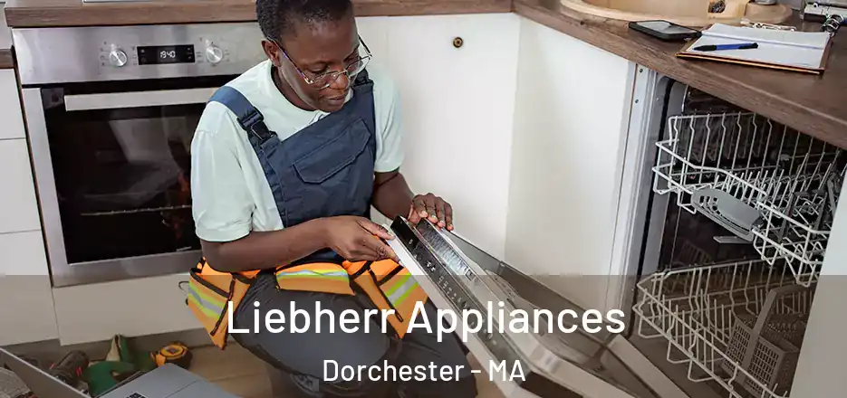  Liebherr Appliances Dorchester - MA
