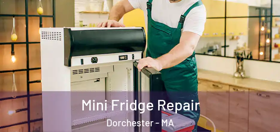  Mini Fridge Repair Dorchester - MA