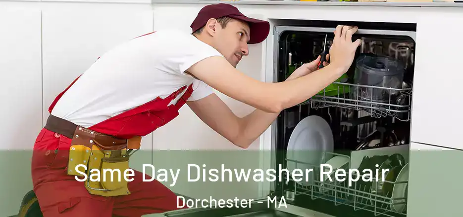  Same Day Dishwasher Repair Dorchester - MA
