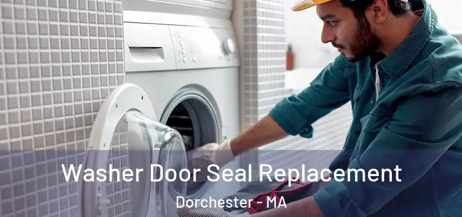  Washer Door Seal Replacement Dorchester - MA