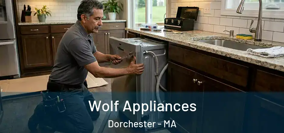  Wolf Appliances Dorchester - MA